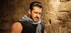 Salman Khan gets bail in the Blackbuck poaching case, fans celebrate big time on Twitter