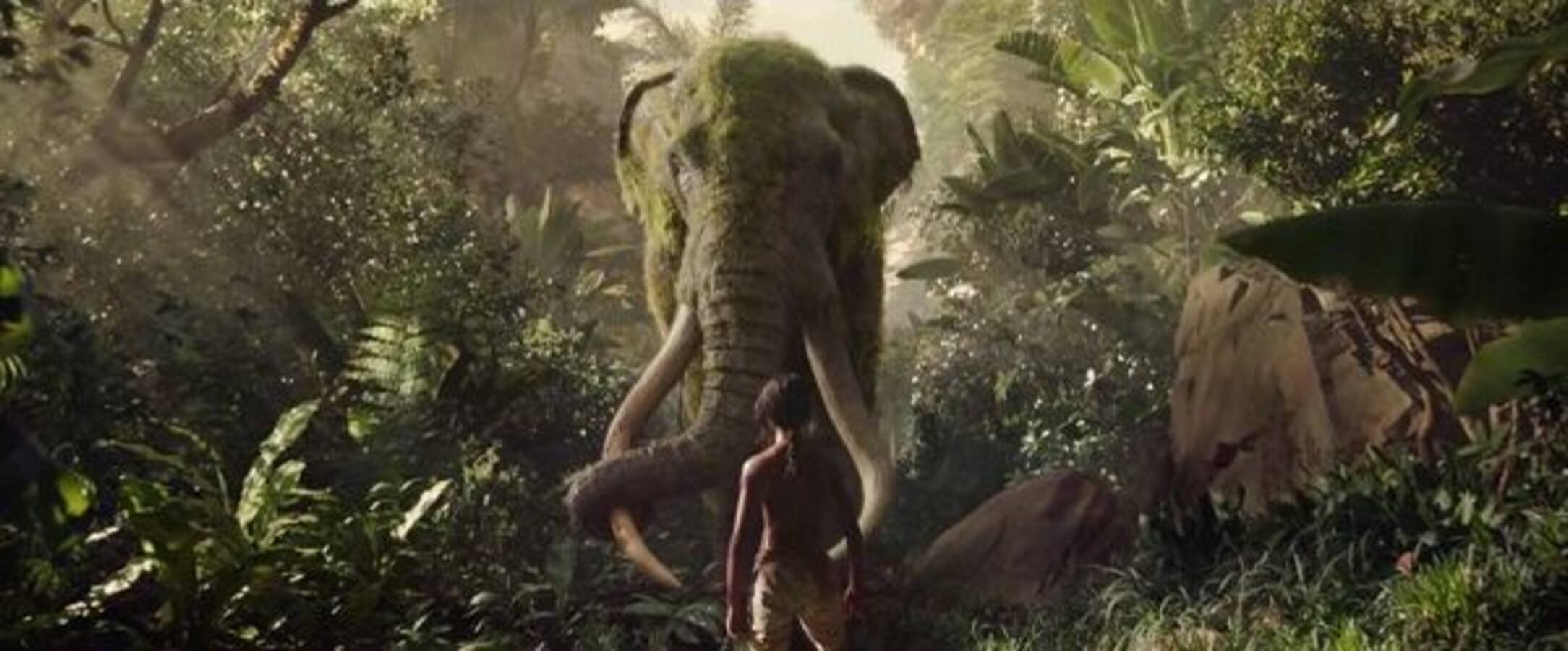 Mowgli trailer: This darker retelling of The Jungle Book featuring Christian Bale, Benedict Cumberbatch looks engaging - watch video - Bollywood News & Gossip, Movie Reviews, Trailers & Videos at Mowgli trailer: This darker retelling of The Jungle Book featuring Christian Bale, Benedict Cumberbatch looks engaging - watch video - Bollywood News & Gossip, Movie Reviews, Trailers & Videos at