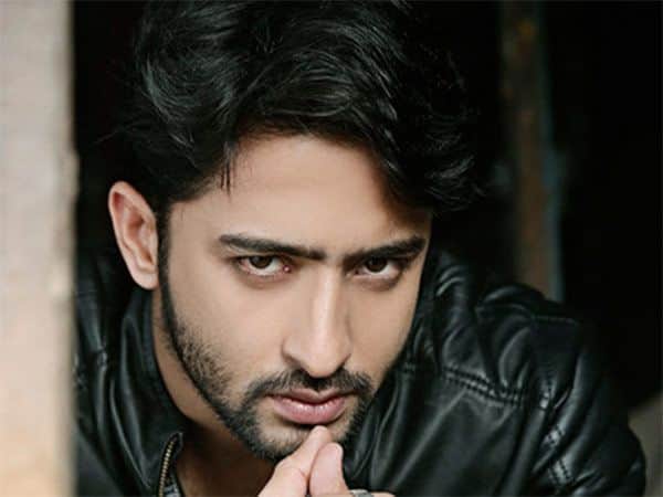 shaheer-sheikh