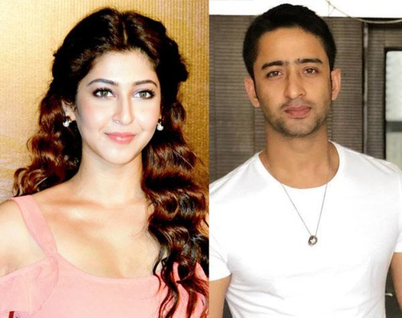 Prithvi Vallabh actress Sonarika Bhadoria to star as Anarkali in Shaheer Sheikh's Mughal-E-Azam? - Bollywood News & Gossip, Movie Reviews, Trailers & Videos at Prithvi Vallabh actress Sonarika Bhadoria to star as Anarkali in Shaheer Sheikh's Mughal-E-Azam? - Bollywood News & Gossip, Movie Reviews, Trailers & Videos at