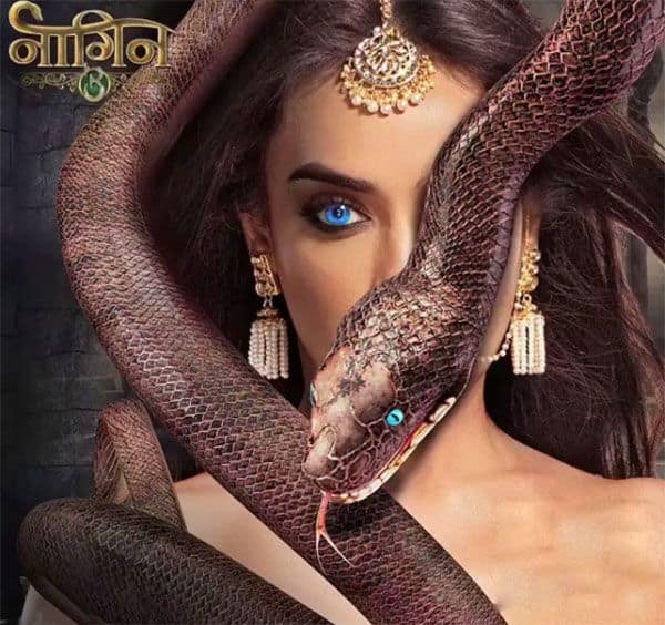 Naagin 3 spoiler alert: Bella's truth to be out in front of Adi