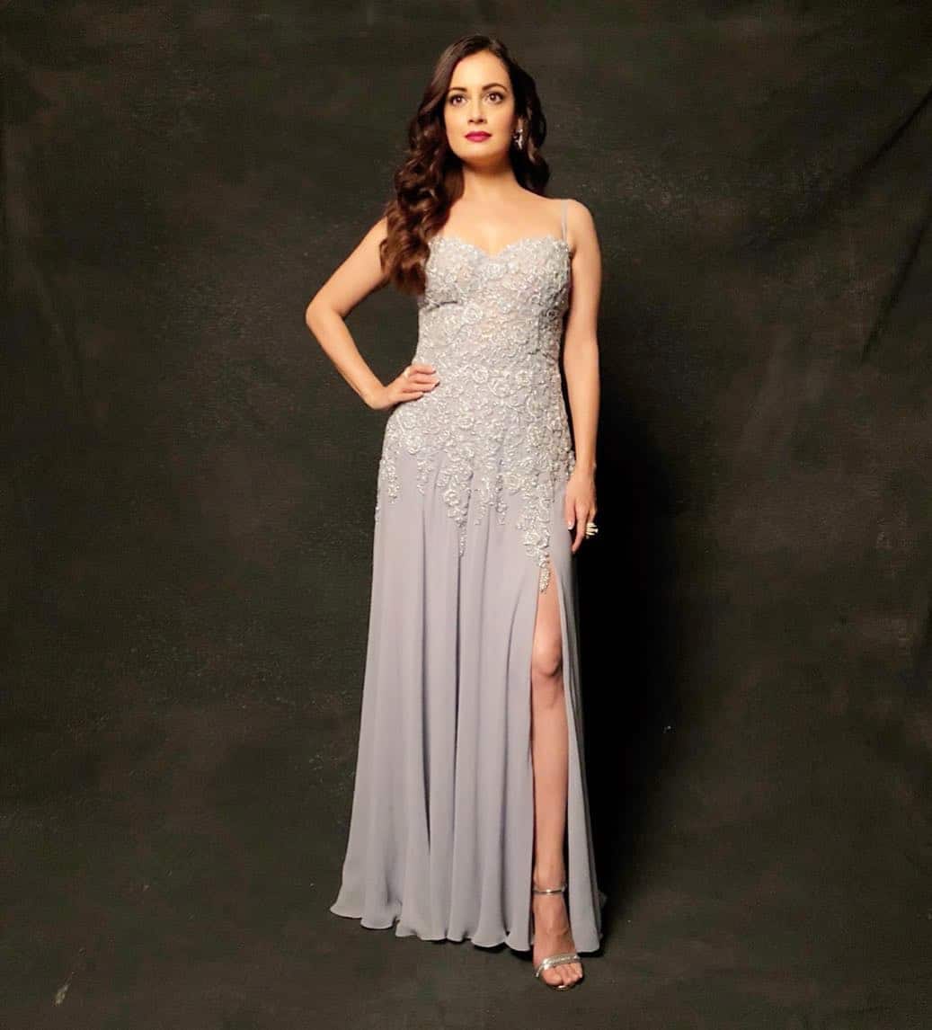 dia mirza