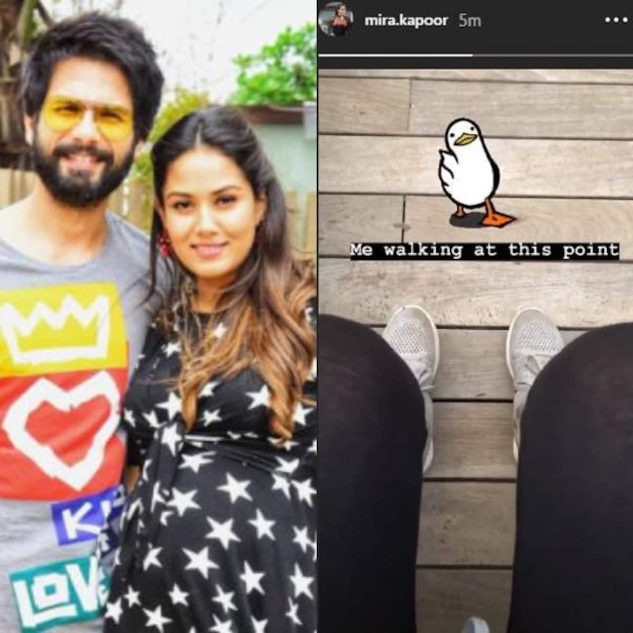 Mira Rajput S Pregnancy Woes Related To Walking Will Make Every Mom To Be Go So True View Pic