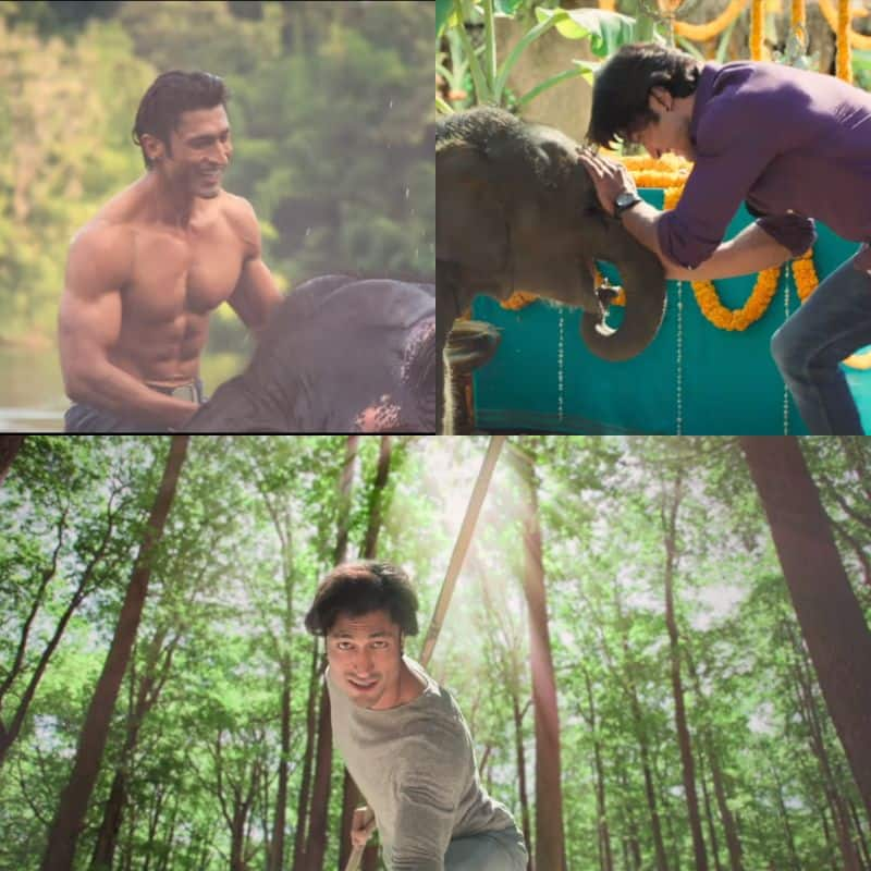 Junglee Teaser Vidyut Jammwal As Indian Tarzan Is Already Winning Our