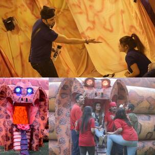 Bigg Boss 12, Day 65 preview: Rohit Suchanti throws a shoe towards Megha Dhade and housemates lose their calm