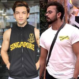 Bigg Boss 12: After Rohit Suchanti's 'FlipShant' comment, Sreesanth goes inside the Naagin to hit him - watch video