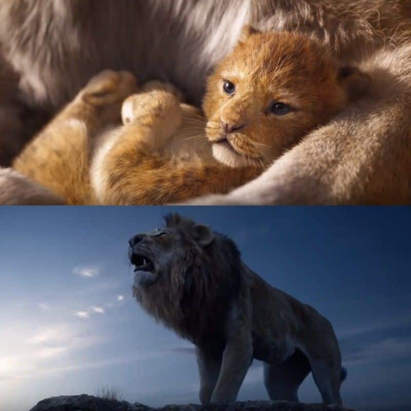 lion king teaser trailer