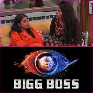 बिग बॉस 12: फैमिली स्पेशल के बाद सुरभि राणा के बदले तेवर, सोमी की तारीफ करते हुए कहा, 'आप दुनिया की सबसे... '