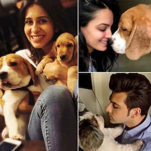Anita Hassanandani, Erica Fernandes, Kishwer Merchant's Insta accounts for their pets are cuteness overload