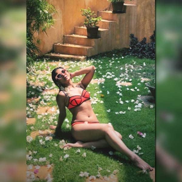 bollywoodlife.com top news