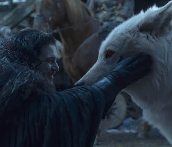 Game Of Thrones 8 Episode 6 Jon Snow Pets Ghost And Twitter Is
