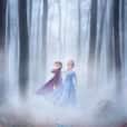 This grand new poster of Disney's Frozen 2 makes the wait harder for the film
