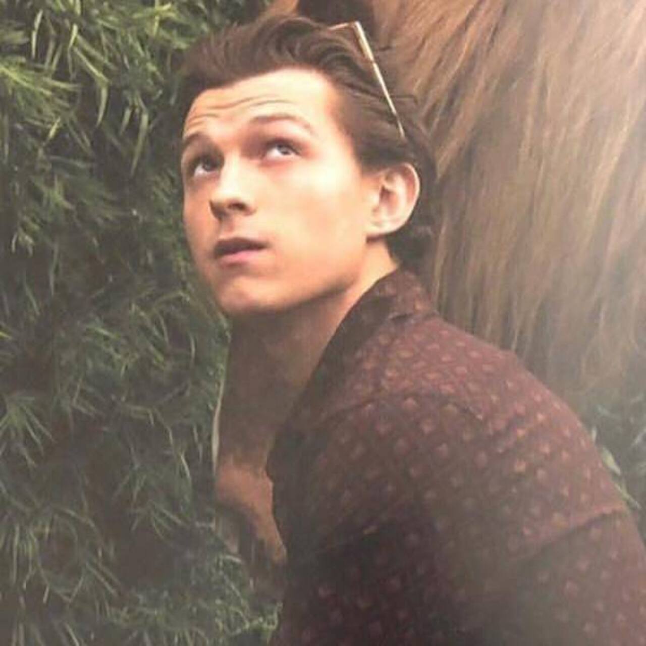 Chris Pratt and Chris Hemsworth wish 'little brother' Tom Holland on