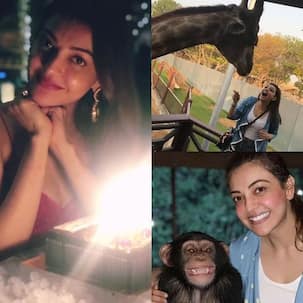 Kajal Aggarwal ringed in her 34th birthday in a private Dubai Zoo and the pictures are adorable
