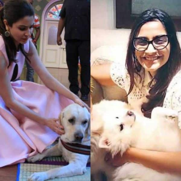 Sonam Kapoor Anushka Sharma Urge Action Against Worli Society For Cruelty Against Stray Dog Bollywood Life