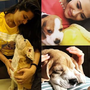Insta-stalker Alert: 9 times Kratika Sengar Dheer showered love on her Donut - view pics