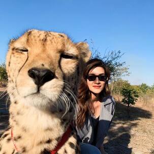 Kriti Sanon gets SLAMMED for clicking a selfie with cheetah