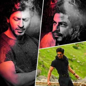 Breaking! साल 2020 में इस रोमांटिक फिल्म के जरिए Box Office पर तहलका मचाएंगे Shah Rukh Khan, जानिए इस खबर की सच्चाई