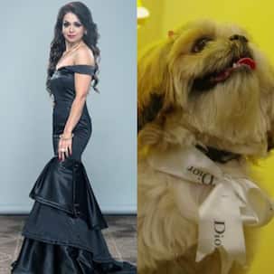 Dilli Darlings 26 August 2019 Written Update: Deepshikha calls Pooja lomdi at her dog’s party