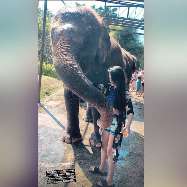 Tanya Sharma को नहीं लगता है हाथी से डर
