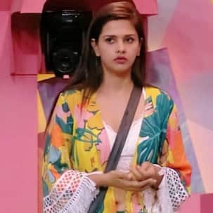 Bigg Boss 13: Was Daljeet Kaur's elimination unfair? - vote now!