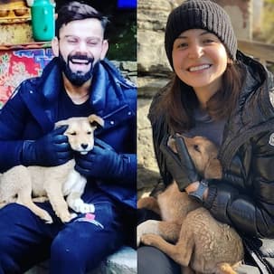 Anushka Sharma, Virat Kohli make a furry friend during their hike and it is too cute to be missed - view pics