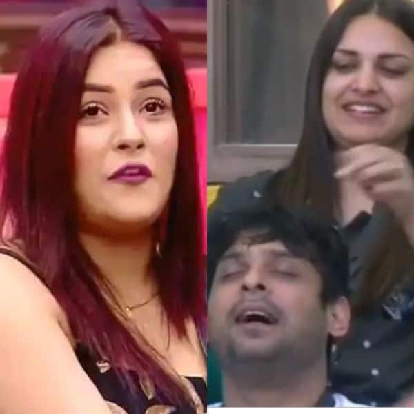 Bigg Boss 13 Do you think Shehnaaz Gill is jealous of Himanshi