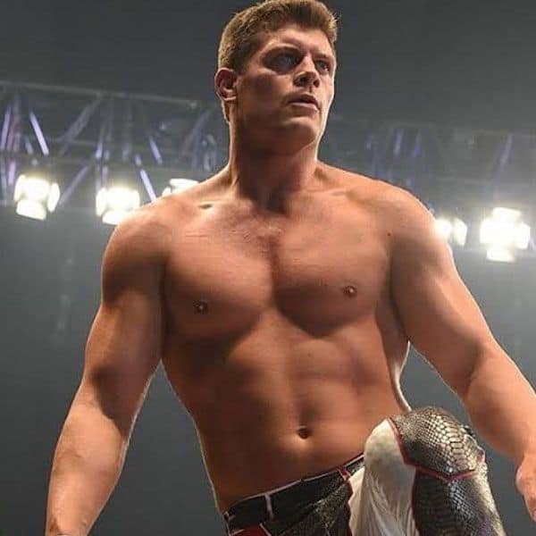 cody rhodes dusty rhodes