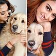 bollywoodlife.com photo