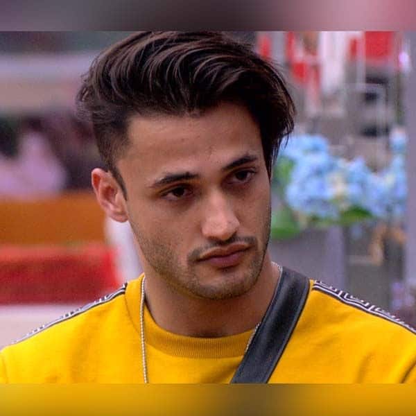 बिग बॉस 13: असीम रियाज ही बनेंगे सलमान खान के शो के विजेता, ये 7 वजहें ...