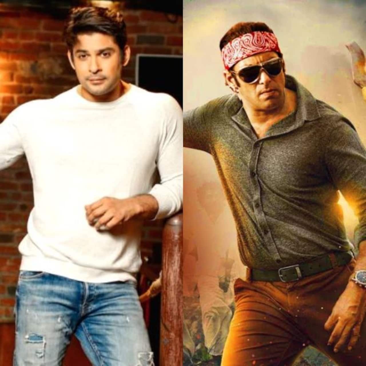 Bigg Boss 13 winner Sidharth Shukla to be a part of Salman Khan's Radhe: Your Most Wanted Bhai? — Here's what we know