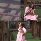 Bigg Boss 13: After Shehnaaz Gill, Arti Singh has a fun conversation with the crow
