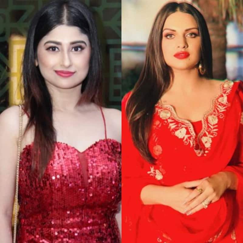 Bigg Boss 13: Former contestant Saba Khan on Himanshi Khurana: She is just clearing everything for herself and in way spoiling Asim ‘s image'