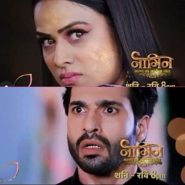 Naagin 4, 23rd February 2020, written update: Vishakha plans to kill Dev to get Naagmani