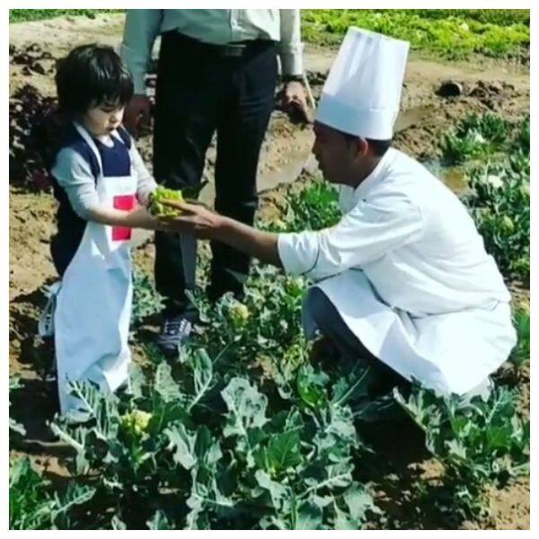 Meet Taimur, the 'farmer' as he picks organic veggies at a farm
