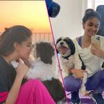 Coronavirus Lockdown के बीच घर में अकेले ऐसे वक्त बिता रहीं है Keerthy Suresh, साउथ अदाकारा की Photos ने मचाई सनसनी