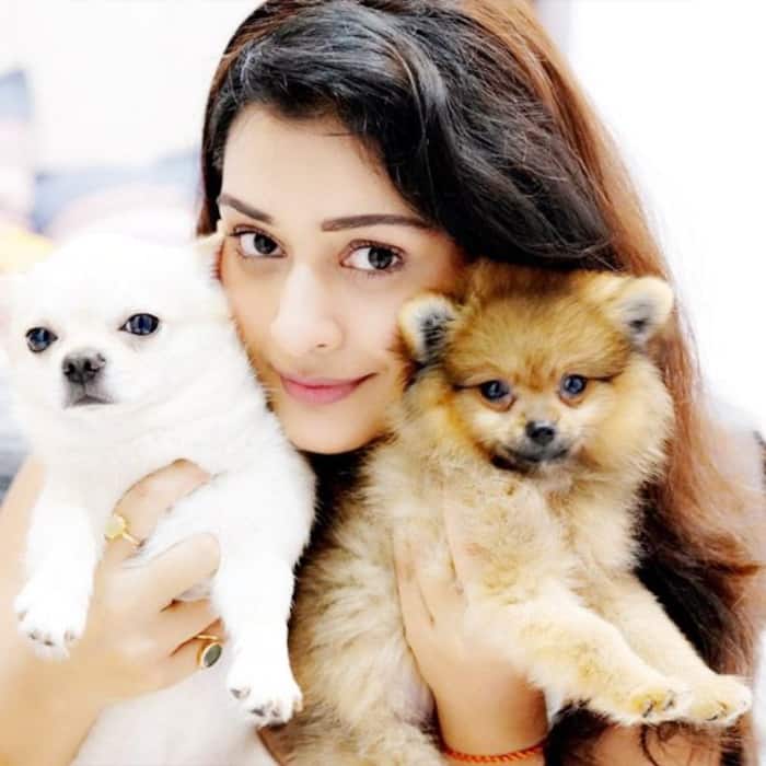 फिल्मों में बिखेर चुकी हैं जलवा