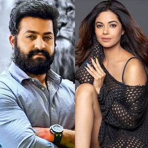 Meera Chopra को Jr. NTR के फैंस से मिली गैंगरेप की धमकी, एक्टर के फैंस ने अदाकारा को कहा 'पॉर्नस्टार'