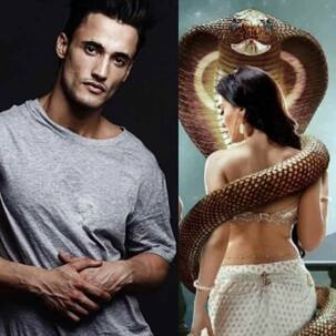 Naagin 5 Latest Update: असीम रियाज ने खोली अफवाहों की पोल, कहा 'सब कयास लगा रहे हैं लेकिन मैं इस शो का हिस्सा...'