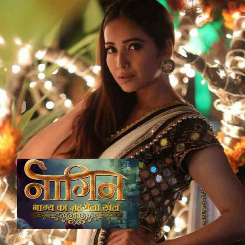 Naagin 5: Asha Negi dismisses rumours of being a part of Ekta Kapoor's show