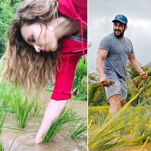 सलमान खान के साथ धान की रोपाई करती दिखीं यूलिया वंतूर, देखें वायरल फोटोज