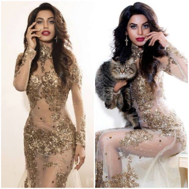 Bipasha Basu Latest News & Updates — Upcoming Movies, Events, Photos, Box Office Reports & Interviews | Bollywood Life - Page 7