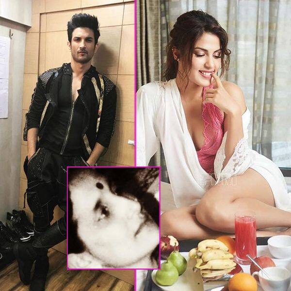 Sushant Singh Rajput's Mother Passed Away Due To Depression, Claims Rhea  Chakraborty- - Read Latest Bollyood News and Gossip