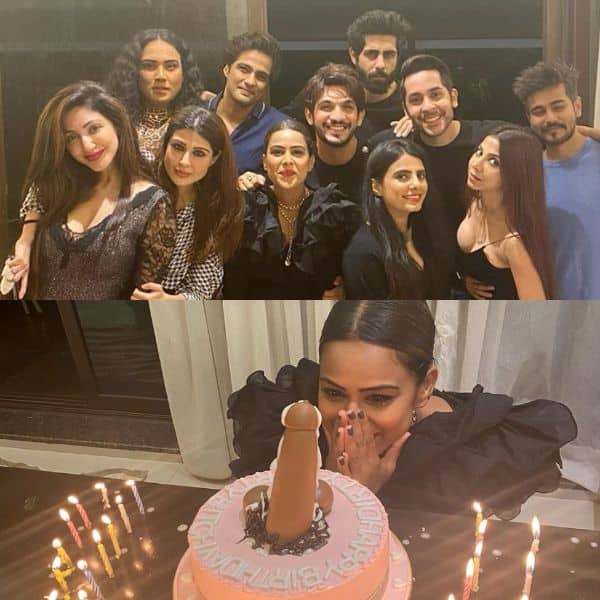 Nia Sharma cuts a phallus-shaped cake on her birthday; celebrates with