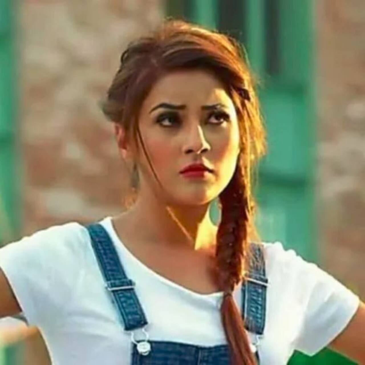 Bigg Boss 14 Shehnaaz Gill slams nonperformance from freshers, says