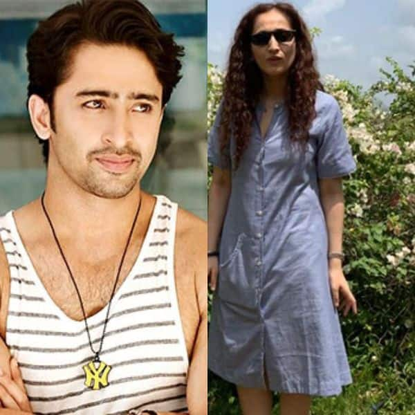 Did Shaheer Sheikh Confirm Being In A Relationship With Ruchika Kapoor View Post