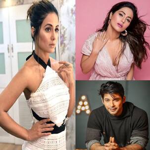 'बिग बॉस 14' में हुई 'तूफानी सीनियर्स' की एंट्री, जानिए उनके बारे में सब कुछ