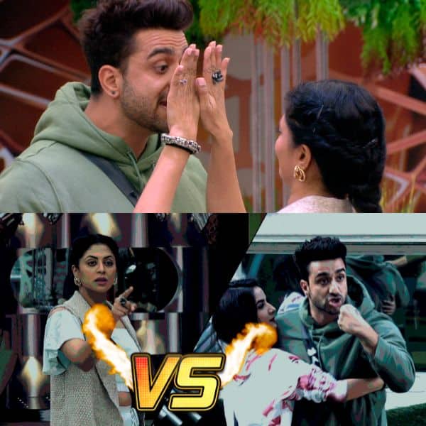 Bigg Boss 14, Day 46, Live Updates: Bigg Boss Nominates Aly Goni For Eliminations