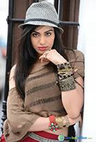 bollywoodlife.com celeb