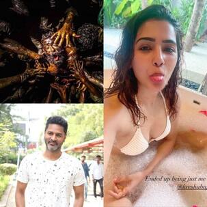 Week that was South: Jallikattu's Oscar selection, Samantha Akkineni's bubbly bikini avatar, Prabhudheva's second marriage